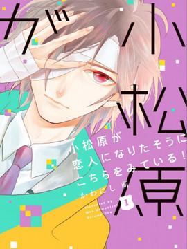 《小松原一脸爱欲地看着我》漫画全本完结下载