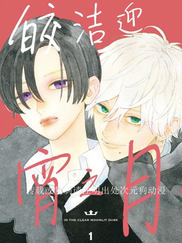 《皎洁迎宵之月》漫画全本完结下载