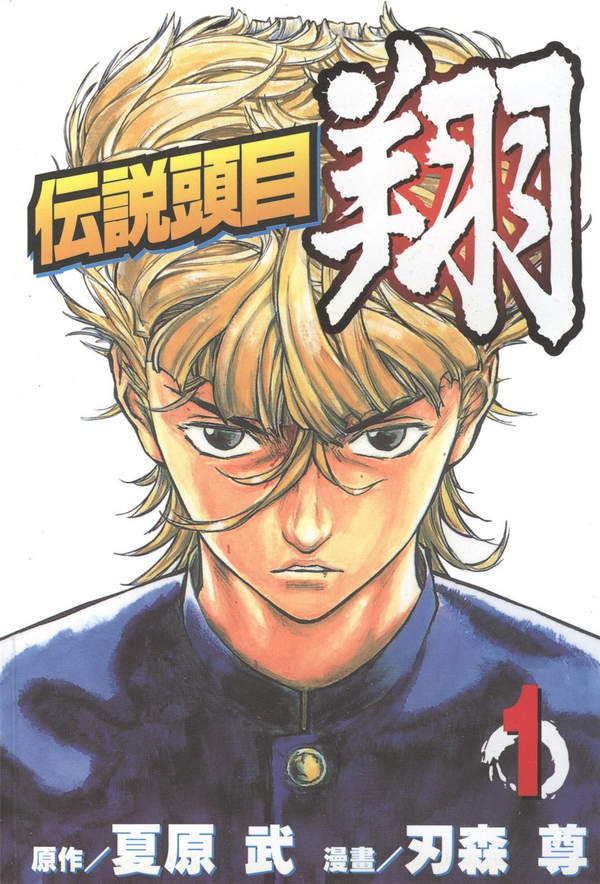 《传说头目翔》漫画全本完结下载