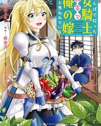 《在乡下农田里捡到的女骑士被误会是我的老婆》漫画全本完结下载