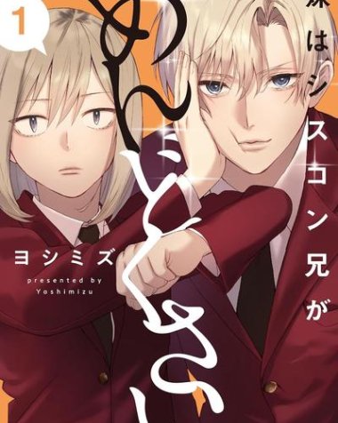 《妹控老哥好烦》漫画全本完结下载