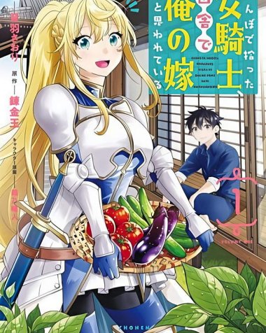 《在乡下农田里捡到的女骑士被误会是我的老婆》漫画全本完结下载