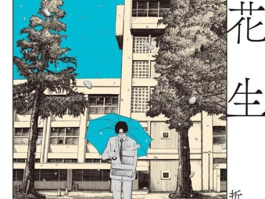 《落花生》漫画全本完结下载